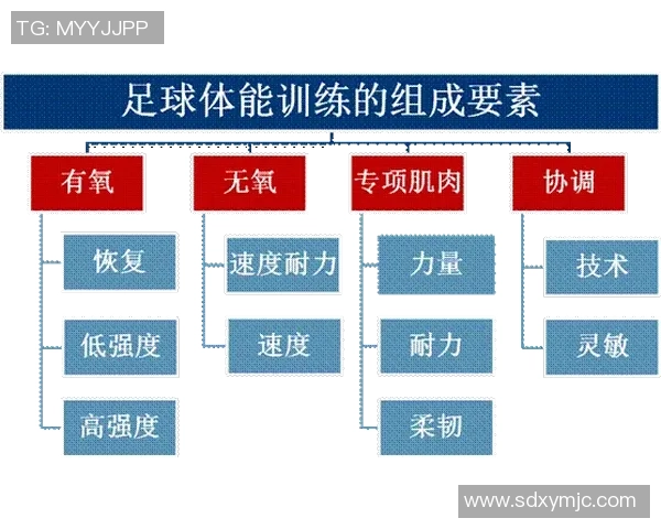 武汉足球队与上海足球队的耐力较量赛后分析与总结