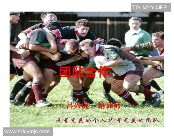 北京乒乓球队个人能力提升之路与团队协作的完美结合探讨