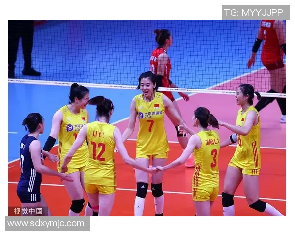 杭州排球队灵活性分析：数据揭示战术调整与比赛表现的关系